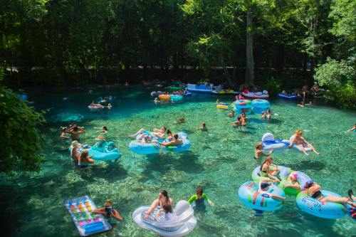A vibrant scene of people relaxing on colorful floats in a clear, blue swimming area surrounded by lush greenery.