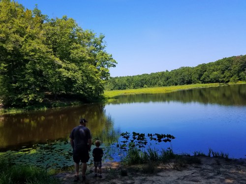 A man and a child stand by a calm lake surrounded by lush greenery under a clear blue sky.