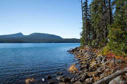 A serene lake surrounded by trees and rocky shoreline, with mountains in the distance under a clear blue sky.