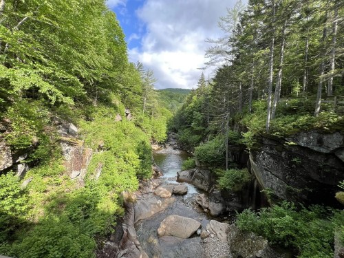 A serene forest scene with a winding river, rocky banks, and lush greenery under a partly cloudy sky.
