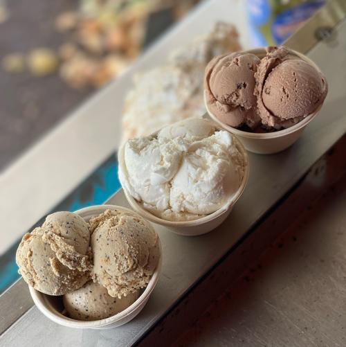 Three bowls of ice cream: one with chocolate, one with vanilla, and one with a nutty flavor, displayed on a counter.