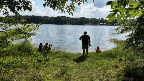 A group of people fishing by a lake, surrounded by greenery and under a partly cloudy sky.