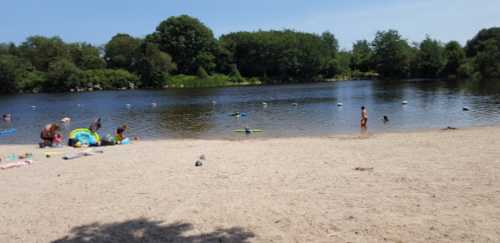 A sunny beach scene with people swimming and playing near a calm lake surrounded by trees.