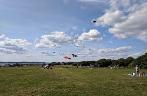 A grassy field with people relaxing, colorful kites flying in a blue sky with fluffy clouds.