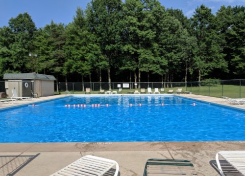 A clear blue swimming pool surrounded by green trees and lounge chairs on a sunny day.