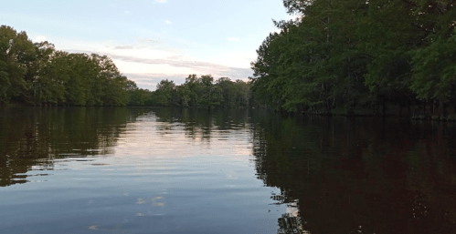 A calm river scene surrounded by lush trees under a clear sky, reflecting the serene water.
