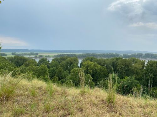 A scenic view of a river surrounded by lush greenery and distant hills under a cloudy sky.