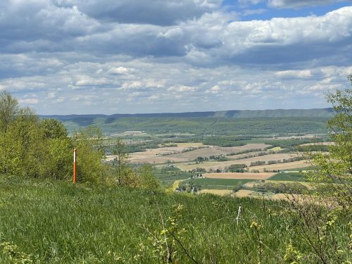 A scenic view of rolling green hills and fields under a partly cloudy sky, with a distant mountain range.