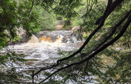 A serene river flows over rocks, surrounded by lush green trees and foliage.