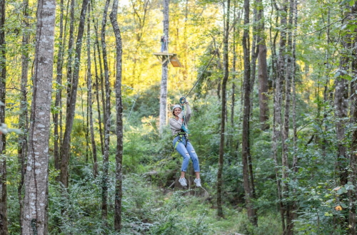 A person zip-lining through a lush green forest, surrounded by tall trees and sunlight filtering through the leaves.