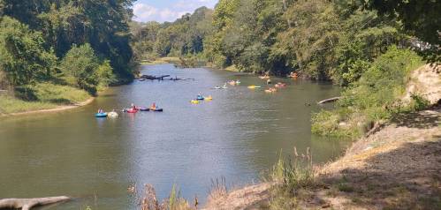 A serene river scene with several colorful kayaks paddling along, surrounded by lush greenery and trees.
