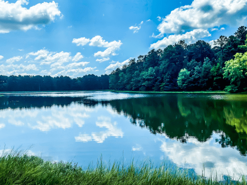 A serene lake reflecting clouds and trees, surrounded by lush greenery under a bright blue sky.