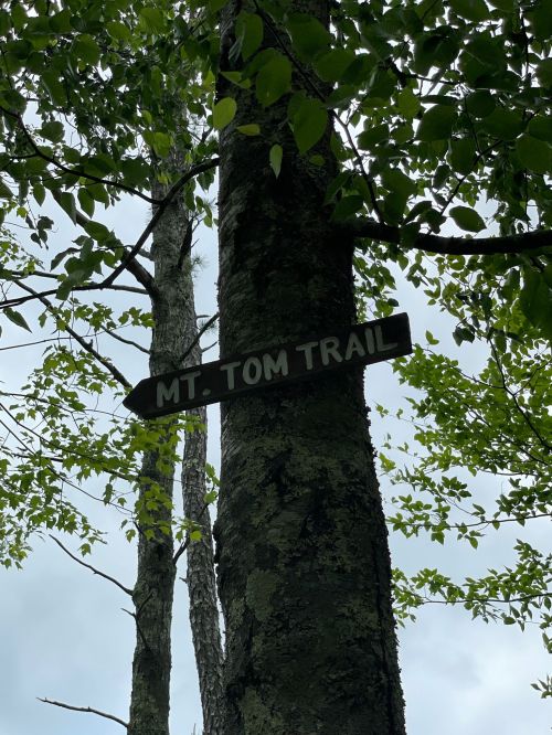 A wooden sign reading "Mt. Tom Trail" attached to a tree, surrounded by green leaves and a cloudy sky.