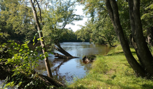 A serene river scene surrounded by lush greenery and trees, reflecting a clear blue sky.