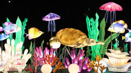 Colorful lanterns depicting a turtle, jellyfish, and fish among vibrant underwater plants in a nighttime setting.
