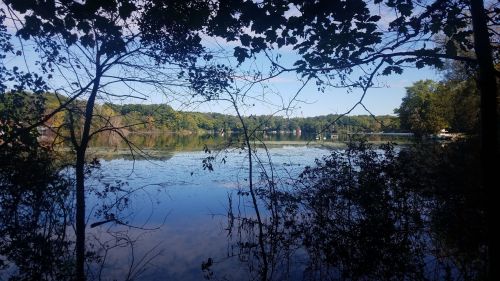 A serene lake surrounded by trees, reflecting the blue sky and greenery on a calm day.