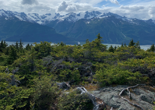 A scenic view of mountains with snow-capped peaks, surrounded by lush greenery and a calm body of water below.