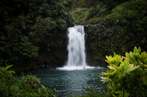A serene waterfall cascades into a lush green pool, surrounded by vibrant foliage and a few people swimming.