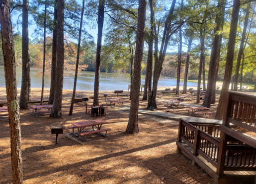 A serene lakeside picnic area with wooden tables surrounded by tall trees and a calm water view.