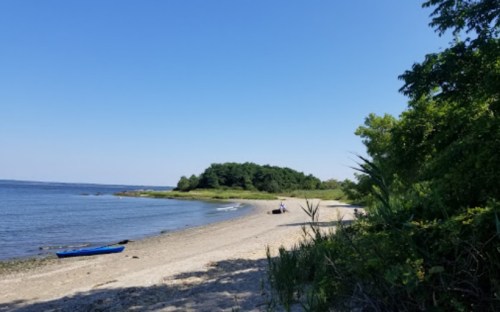 A serene beach scene with a clear blue sky, gentle waves, and a small island in the distance, surrounded by greenery.