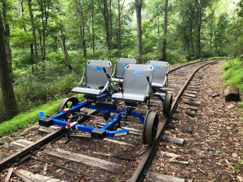 A blue rail cart with four seats on a wooded railway track surrounded by greenery.
