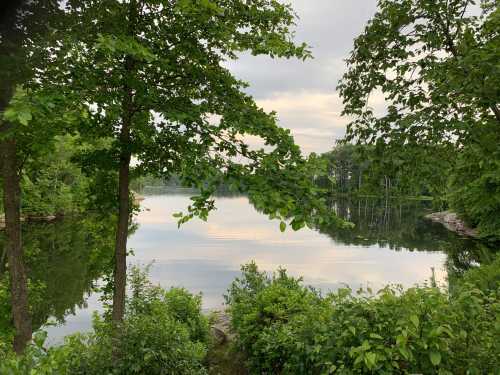 A serene lake surrounded by lush greenery and trees, reflecting the cloudy sky above.