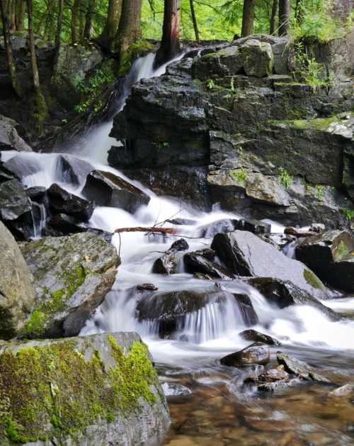 A serene waterfall cascading over rocks, surrounded by lush green trees and mossy stones in a tranquil forest setting.