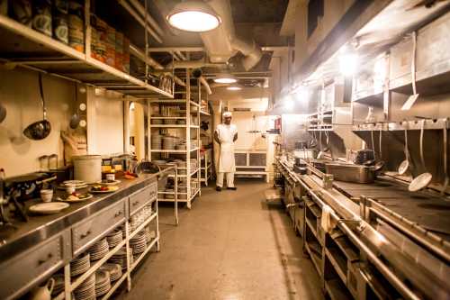 A chef stands in a commercial kitchen filled with stainless steel equipment and shelves, illuminated by overhead lights.