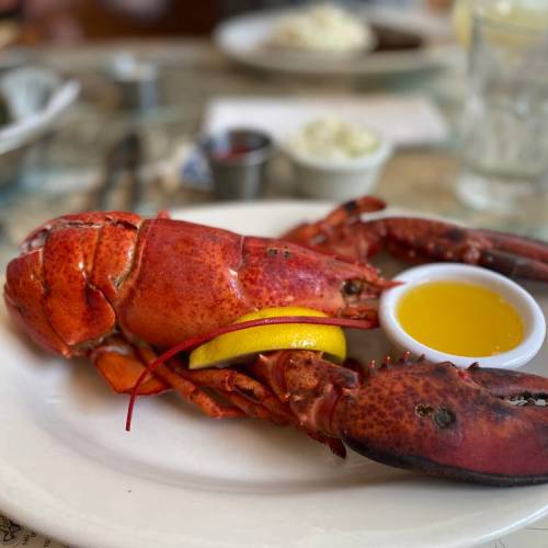 A cooked lobster on a plate with a lemon wedge and a small dish of olive oil.