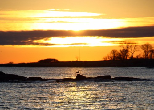 A serene sunset over water, with silhouettes of rocks and trees against a vibrant orange and yellow sky.