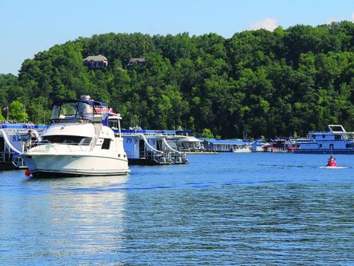 A boat navigates a calm lake near a marina, surrounded by lush green trees and clear blue skies.
