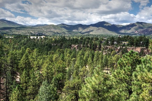 Lush green pine trees cover a mountainous landscape under a partly cloudy sky.