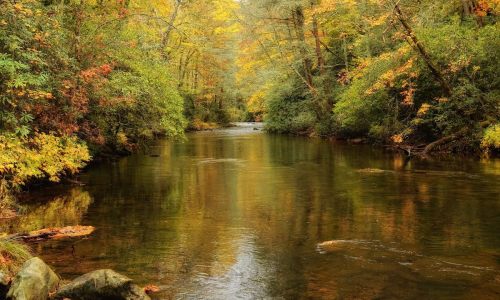 A serene river flows through a forest with vibrant autumn foliage reflecting on the water's surface.