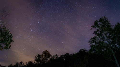 A starry night sky filled with twinkling stars and wispy clouds, framed by silhouettes of trees below.