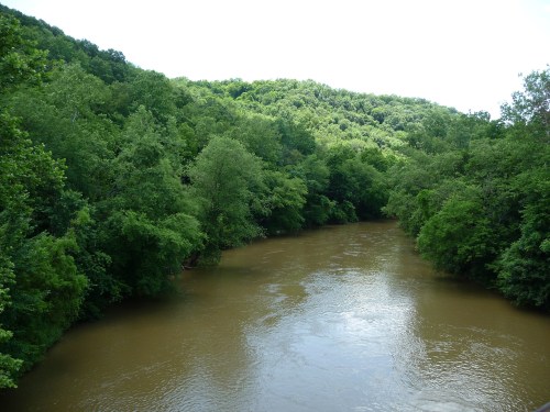 A winding river flows through lush green trees and hills under a bright sky.