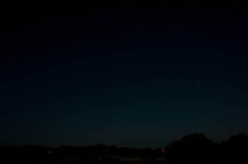 A dark night sky filled with stars, with a faint horizon and silhouettes of trees at the bottom.