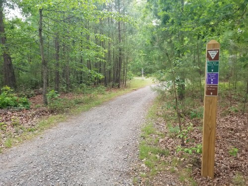 A gravel path winds through a lush green forest, marked by a wooden trail sign on the right.