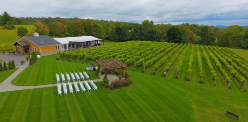 A scenic vineyard with rows of grapevines, a reception area, and white chairs set up for an outdoor event.