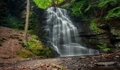 A serene waterfall cascading over rocks, surrounded by lush green foliage and trees in a tranquil forest setting.
