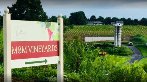 Sign for M&M Vineyards with a scenic view of vineyards and a silo in the background. Lush greenery surrounds the area.