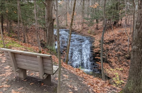 A wooden bench overlooks a serene stream surrounded by autumn leaves and trees in a peaceful forest setting.