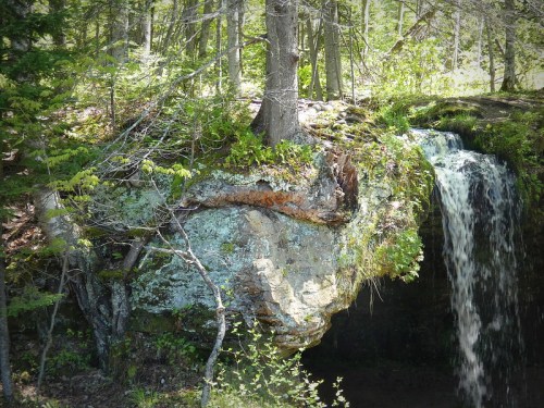 A serene waterfall cascades over a rocky ledge, surrounded by lush greenery and trees in a peaceful forest setting.