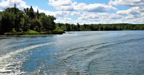 A serene lake scene with gentle waves, lush green trees, and fluffy clouds in a blue sky.