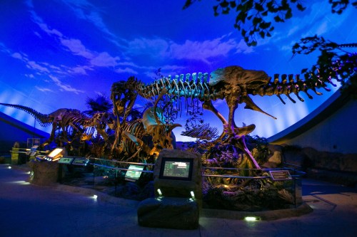 A large dinosaur skeleton displayed in a dimly lit museum, with blue lighting and informational plaques nearby.