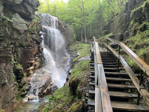 A wooden staircase leads alongside a waterfall in a lush, green forest.