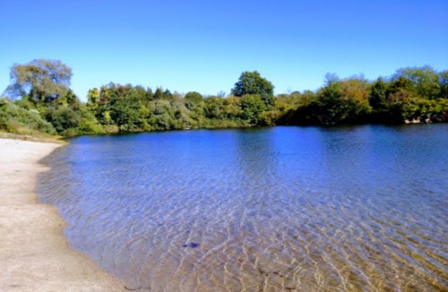 A serene lake surrounded by trees under a clear blue sky, with gentle ripples on the water's surface.