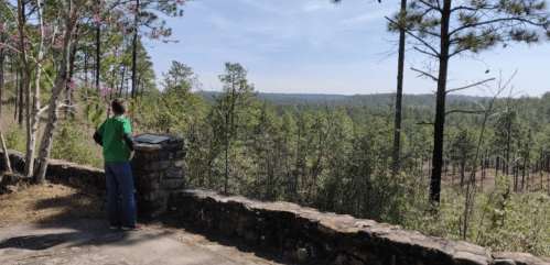A person in a green shirt stands by a stone wall, overlooking a vast forested landscape under a clear blue sky.