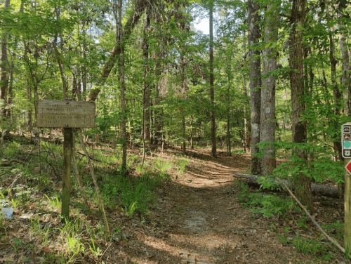 A wooded trail with a signpost on the left, surrounded by lush green trees and a dirt path leading into the forest.