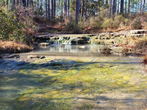 A serene stream flows over rocks, surrounded by trees and greenery in a peaceful natural setting.