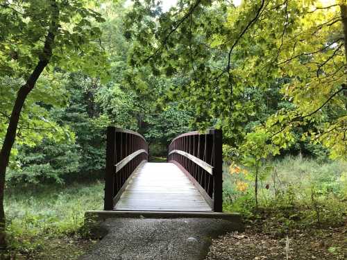 A wooden bridge spans a small path, surrounded by lush green trees and foliage.